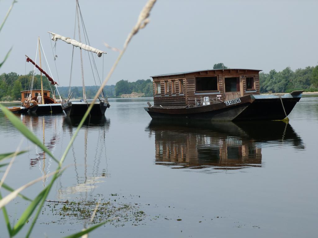 Les Gites De Colliers Muides-sur-Loire Extérieur photo